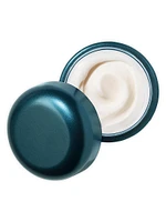 The Rejuvenating Night Cream
