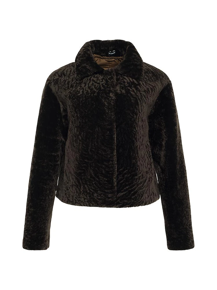 Textured Shearling Lamb Jacket