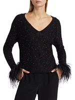 Sequin-Feather V-Neck Sweater