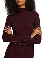 Lilith Turtleneck Maxi Dress