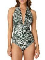 Animal-Print Plunging V-neck One-Piece Swimsuit
