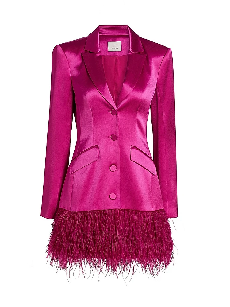 Joel Feather-Trim Satin Minidress