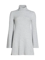 Meredith Turtleneck Minidress