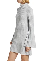 Meredith Turtleneck Minidress