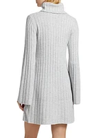 Meredith Turtleneck Minidress