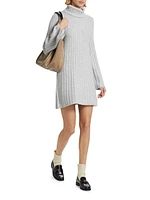 Meredith Turtleneck Minidress