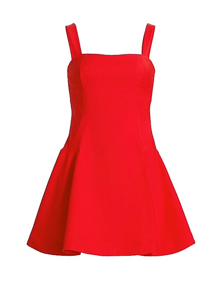 Sadie Fit & Flare Minidress
