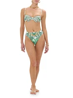 Printed Mid-Rise Bikini Bottoms