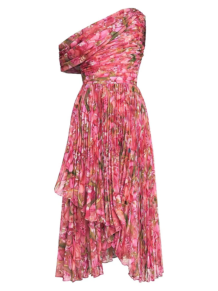 Katia Floral Chiffon Midi dress