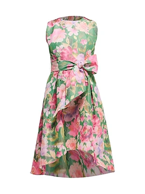 Keegan Floral Taffeta Fit & Flare Dress
