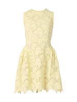 Fleur Lace Sleeveless Minidress