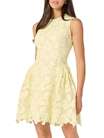 Fleur Lace Sleeveless Minidress
