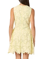 Fleur Lace Sleeveless Minidress