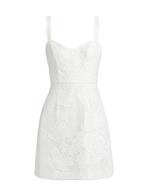 Alessie Lace Minidress