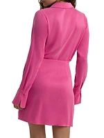 The Dinner Party Mini Shirtdress