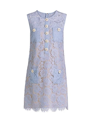 Fine Lace Minidress
