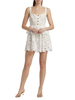 Lace Tiered Peplum A-Line Minidress