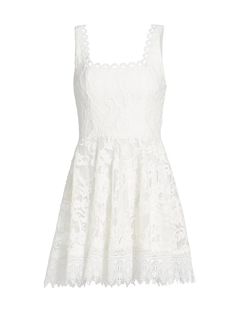 Flor Del Viento Havana Lace Sleeveless A-Line Minidress