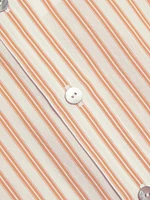 Till Stripe Cropped Shirt