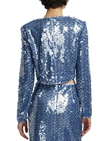 Anaya Sequined Long-Sleeve Top