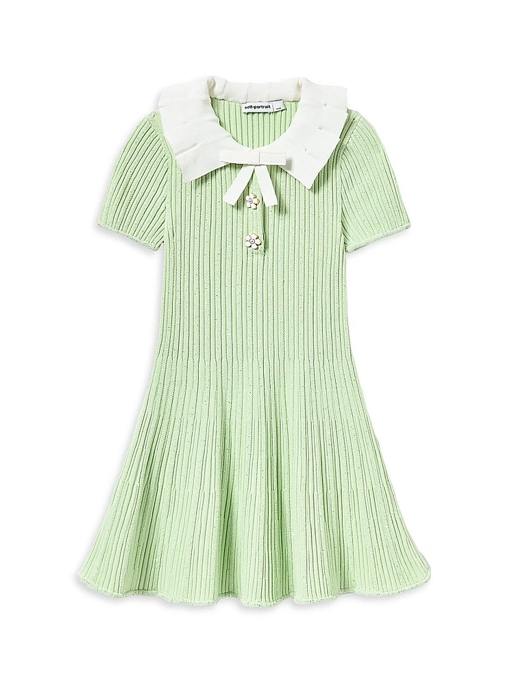 Little Girl's & Ribbed Knit Flared Dress