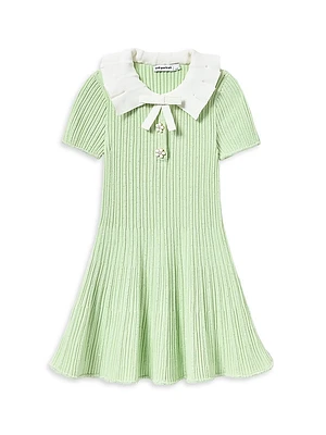 Little Girl's & Ribbed Knit Flared Dress