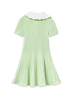 Little Girl's & Ribbed Knit Flared Dress