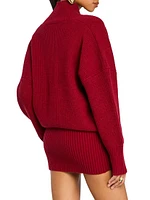 Neva Knit Sweater Dress