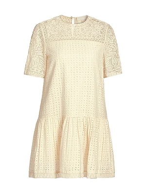 Gabi Embroidered Mini Shift Dress