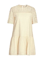 Gabi Embroidered Mini Shift Dress