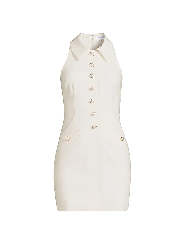 Amaya Sleeveless Minidress