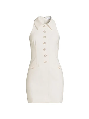 Amaya Sleeveless Minidress