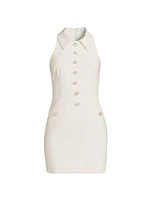 Amaya Sleeveless Minidress
