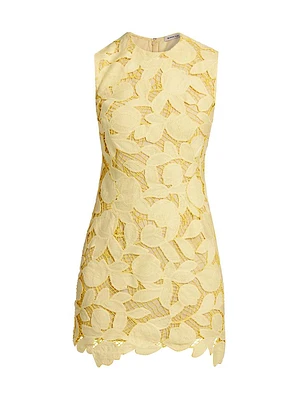 Mickie Lace Sheath Minidress