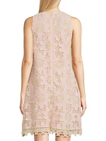 Darcy Lace Shift Minidress