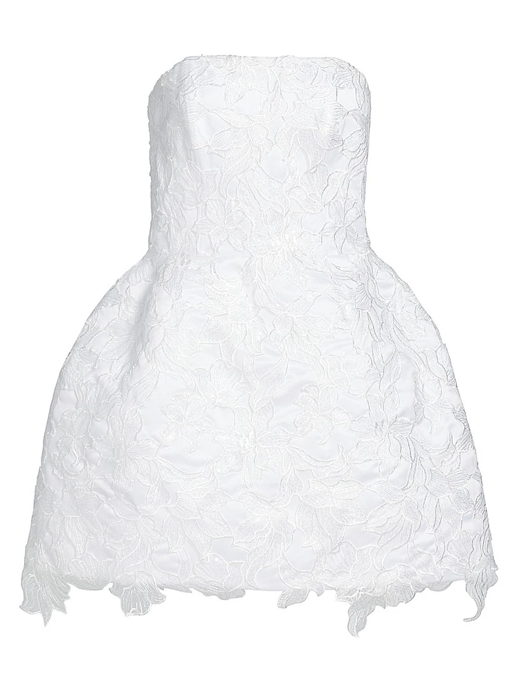 Sarah Lace Minidress