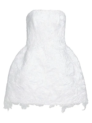 Sarah Lace Minidress