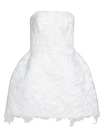 Sarah Lace Minidress