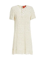 Lacey Mini Swing Dress