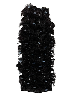 Feather-Embellished Silk Organza Dress