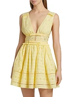 Eyelet Cotton Fit & Flare Minidress