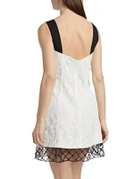 Corded Lace Organza Minidress