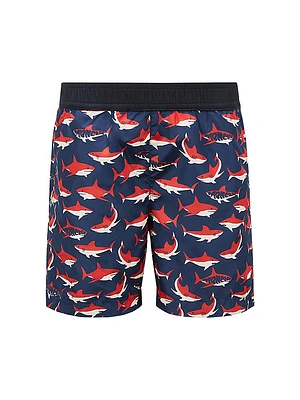 Little Boy's & Swim Trunks