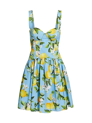 Jai Floral Cotton-Blend Minidress