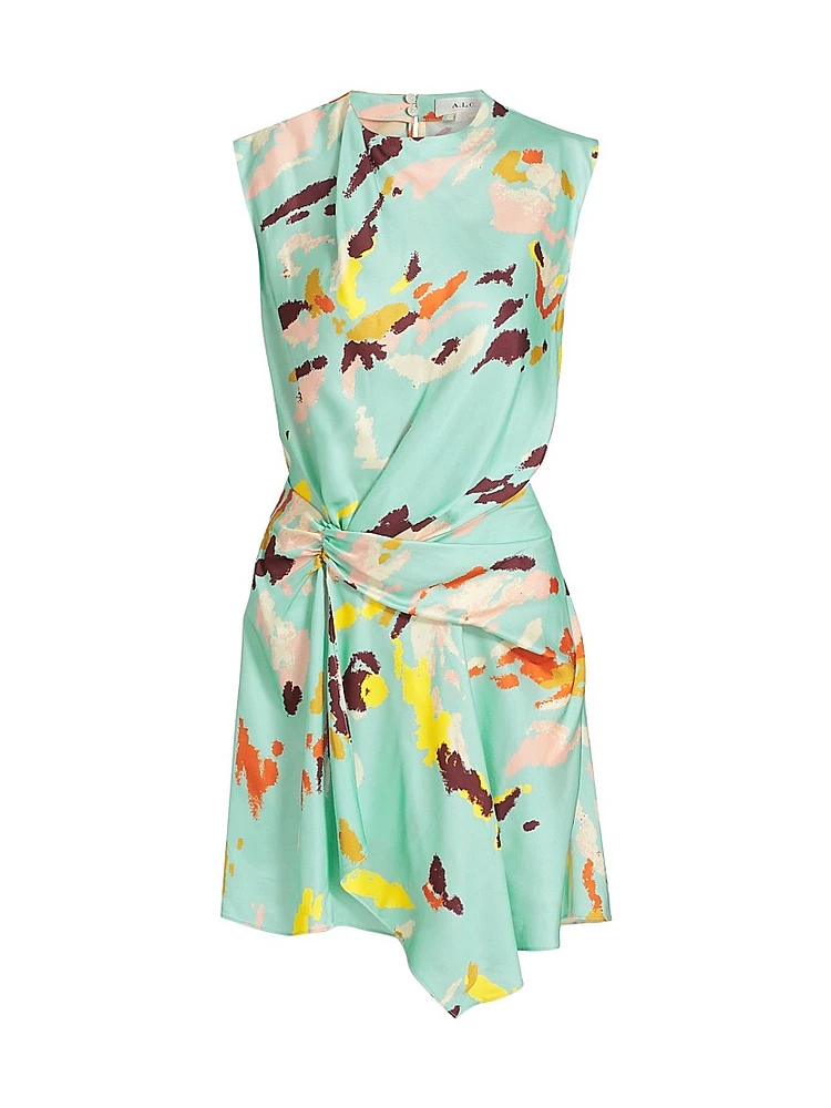 Dion Printed Sleeveless A-Line Minidress