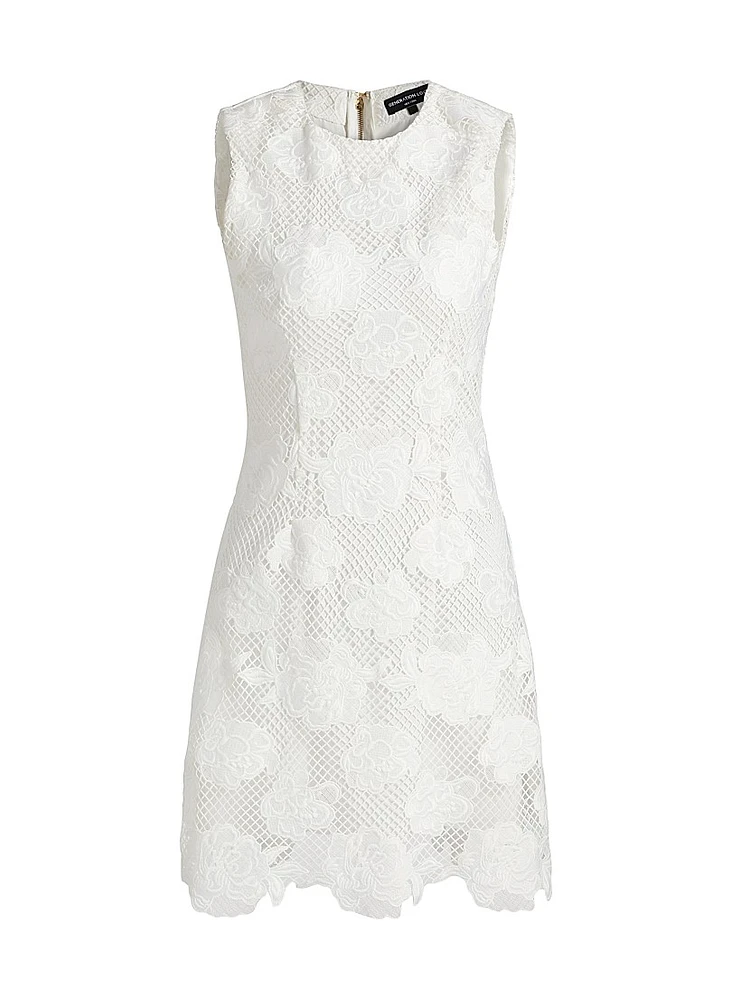 Dania Floral Mesh Minidress