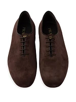 Suede Laced Shoes