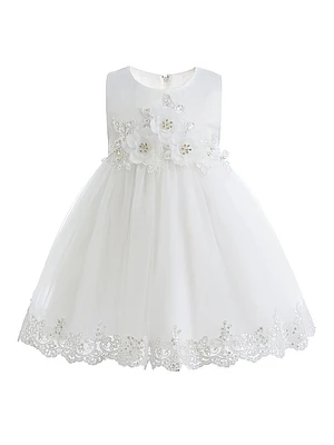 Baby Girl's Embroidered Blooming Bow Dress