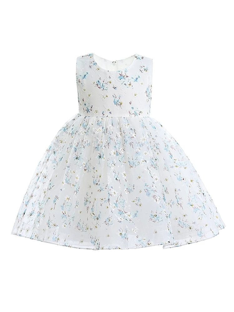 Baby Girl's Floral Print Bow Dress
