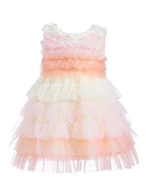 Baby Girl's Ruffle Layered Tulle Dress